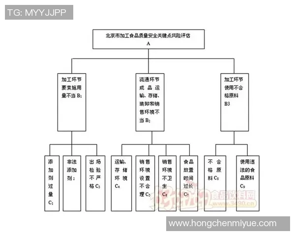 上海足球队在钻石联赛中的表现分析与状态评估