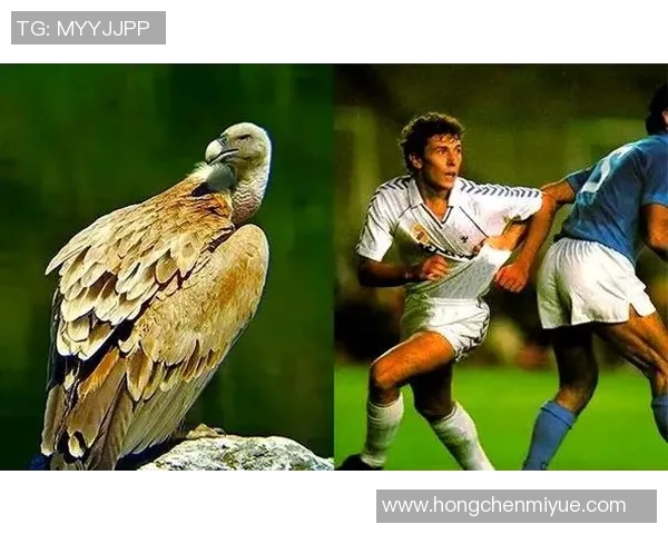 外号如美食的足球明星们盘点他们的传奇与风味 外号如美食的足球明星们盘点他们的传奇与风味